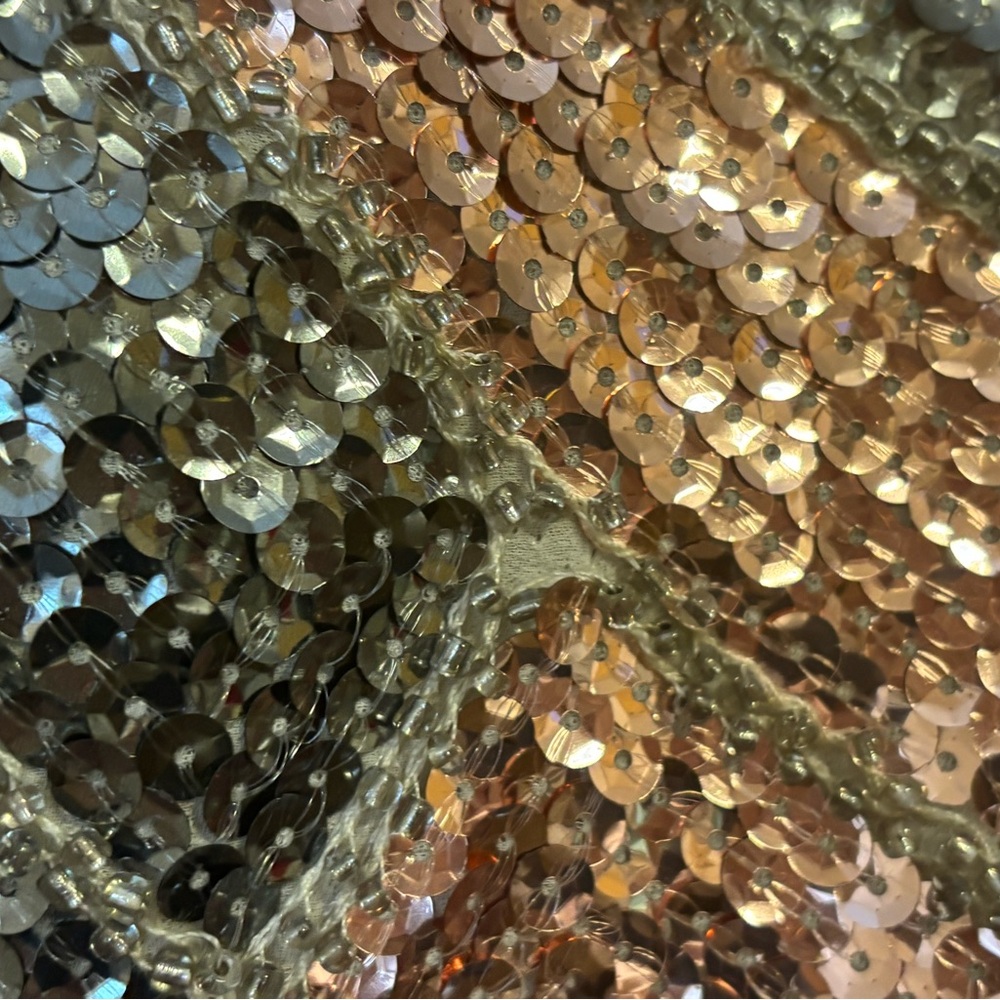 Endless Rose Metallic Mini Skirt - Picture 4 of 5